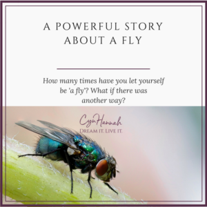 A powerful story about a fly | Cyn Hannah